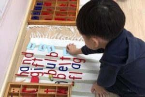 Brainy child montessori Articles