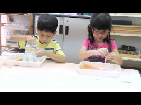 MONTESSORI PLAYGROUP