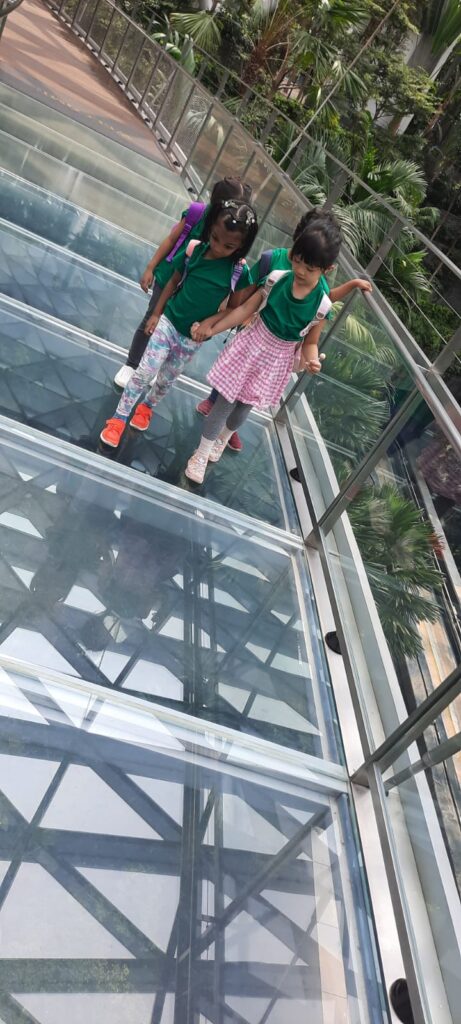 Field Trips