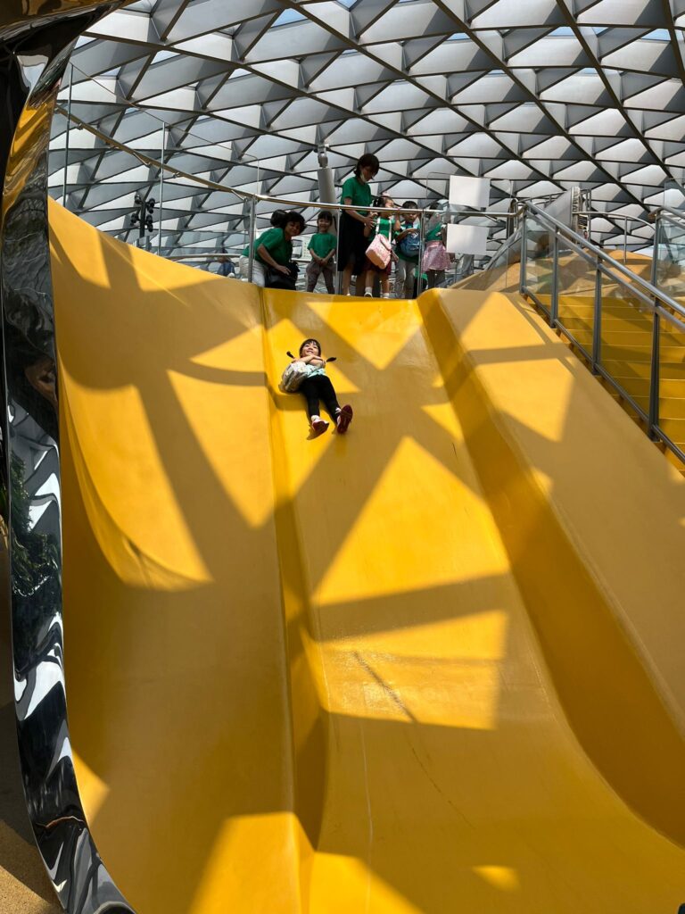 Field Trips